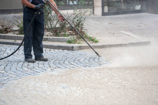 Best Roof Washing  in Kenilworth, NJ